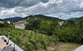 Alsacebnb - Gîte 12 personnes dans le vignoble - Piscine privée chauffée&Spa